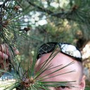 ���������� ��������, ���� ������� �������, 38 ���, ������������ ��� ������, ����� � ���������, c�������� ���������