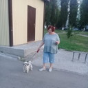  ,   , 71 ,     , c 