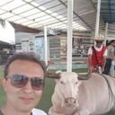  ,   Mohsen, 40 ,   ,   