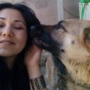 ���������� ������, ���� ������� ������, 38 ���, ������������ ��� ������, ����� � ���������, c�������� ���������