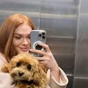 ���������� ���������, ���� ������� ��������, 29 ���, ������������ ��� ������, ����� � ���������