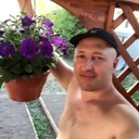 ���������� �����������, ���� ������� ������, 48 ���, ������������ ��� ������, ����� � ���������