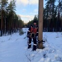 ���������� �����������, ���� ������� �������, 38 ���, ������������ ��� ������, ����� � ���������