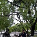 ���������� ������ �����, ���� ������� ���������, 37 ���, ������������ ��� ������, ����� � ���������, c�������� ���������, ���������