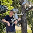 ���������� ������, ���� ������� �������, 48 ���, ������������ ��� ������, ����� � ���������, c�������� ���������