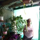 ���������� ������, ���� ������� ���������, 63 ����, ������������ ��� ����� � ���������, c�������� ���������