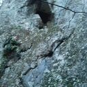 ���������� �����������, ���� ������� ������, 38 ���, ������������ ��� ������, ����� � ���������, c�������� ���������, ���������