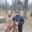  ,   , 47 ,  