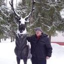 ���������� ���, ���� ������� ����, 62 ����, ������������ ��� ������, ����� � ���������, ���������