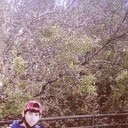  ,   , 31 ,   ,   