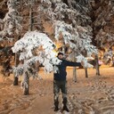 ���������� �������, ���� ������� �����, 36 ���, ������������ ��� ������, ����� � ���������