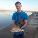  ,   Timchan_zp, 21 ,   ,   , c , 