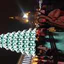 ���������� ����, ���� ������� �����, 41 ���, ������������ ��� ������