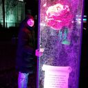 ���������� ����������, ���� ������� Xxxxx, 37 ���, ������������ ��� ������, ����� � ���������