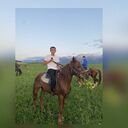 ���������� ���������, ���� ������� ��������, 28 ���, ������������ ��� ������, ����� � ���������, c�������� ���������, ���������