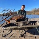 ���������� �������, ���� ������� ��������, 43 ����, ������������ ��� ������