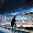 ���������� ������, ���� ������� ������, 21 ���, ������������ ��� ������, ����� � ���������, ���������