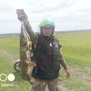 ���������� ��������, ���� ������� ��������, 46 ���, ������������ ��� ����� � ���������, c�������� ���������, ���������