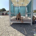  ,   , 45 ,   ,   
