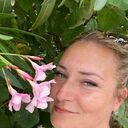 ���������� ������, ���� ������� ����, 44 ����, ������������ ��� ������, ����� � ���������, c�������� ���������