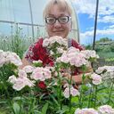 ���������� ���������, ���� ������� ������, 48 ���, ������������ ��� ����� � ���������, c�������� ���������