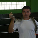 ���������� ������, ���� ������� �������, 43 ����, ������������ ��� ������, ����� � ���������, c�������� ���������