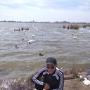  ,   , 44 ,   