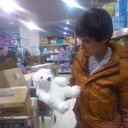  ,   Sherzod, 33 ,   ,   , c 