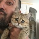 ���������� ������, ���� ������� ������, 43 ����, ������������ ��� ����� � ���������, c�������� ���������