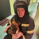 ���������� �����-���������, ���� ������� ���������, 33 ����, ������������ ��� ������, ����� � ���������, c�������� ���������, ���������