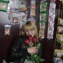  -,   , 33 ,   ,   , c 