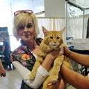 ���������� �����, ���� ������� ���, 53 ����, ������������ ��� ����� � ���������, c�������� ���������