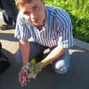  -,   , 41 ,   