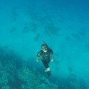 ���������� �������, ���� ������� ����, 49 ���, ������������ ��� c�������� ���������, ���������