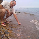  ,   Black, 37 ,   