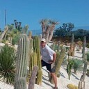 ���������� �����-���������, ���� ������� ��������, 56 ���, ������������ ��� ������, ����� � ���������, c�������� ���������