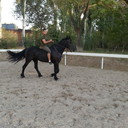 ���������� �������, ���� ������� ������, 34 ����, ������������ ��� ���������