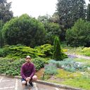 ���������� ������, ���� ������� ������, 36 ���, ������������ ��� ������, ����� � ���������, c�������� ���������, ���������