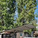 ���������� ���������, ���� ������� �������, 47 ���, ������������ 