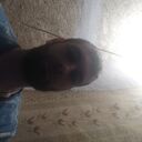 ���������� ����, ���� ������� ����, 31 ���, ������������ ��� ����� � ���������, c�������� ���������