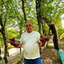 ���������� �����, ���� ������� ���� �����, 31 ���, ������������ ��� ������, ����� � ���������, c�������� ���������