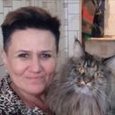 ���������� ���������, ���� ������� ������, 54 ����, ������������ ��� c�������� ���������