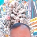  ,   , 51 ,   ,   , c , 