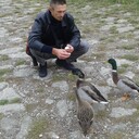  ,   , 52 ,  