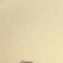 ���������� �������, ���� ������� Giorgi, 30 ���, ������������ ��� ������, ����� � ���������, c�������� ���������