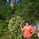 ���������� �����-���������, ���� ������� ������, 64 ����, ������������ 