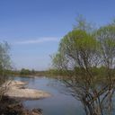 ���������� �����-���������, ���� ������� �������, 41 ���, ������������ 