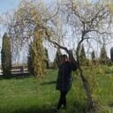  Haugesund,   OSYA KUZIV, 40 ,   ,   , c , 