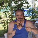   ,   , 42 ,   ,   