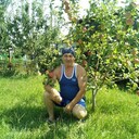 ���������� �����, ���� ������� ��������, 68 ���, ������������ ��� ������, ����� � ���������